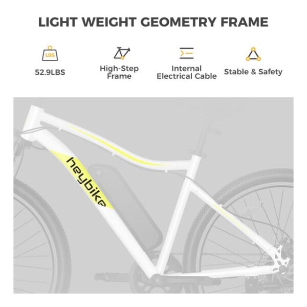 Race Max Electric Bike for Adults with 750W Peak Motor - Image 5