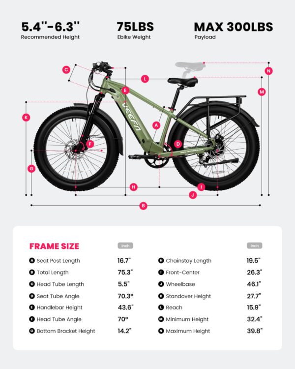 E1 Electric Bike for Adults 750W/Peak 1000W Motor - Image 2