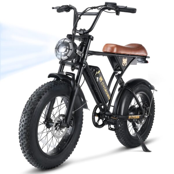 Electric Bike for Adults 750W Motor