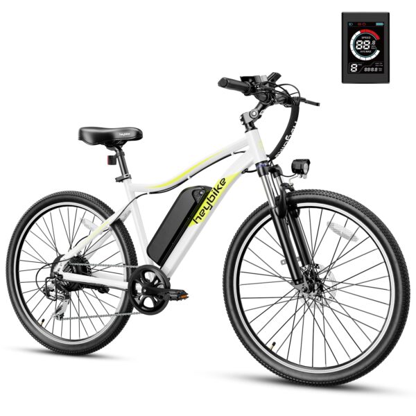 Race Max Electric Bike for Adults with 750W Peak Motor