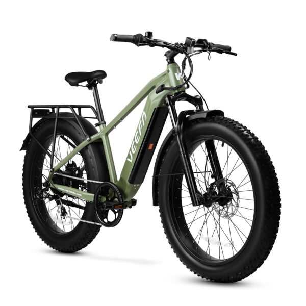 E1 Electric Bike for Adults 750W/Peak 1000W Motor